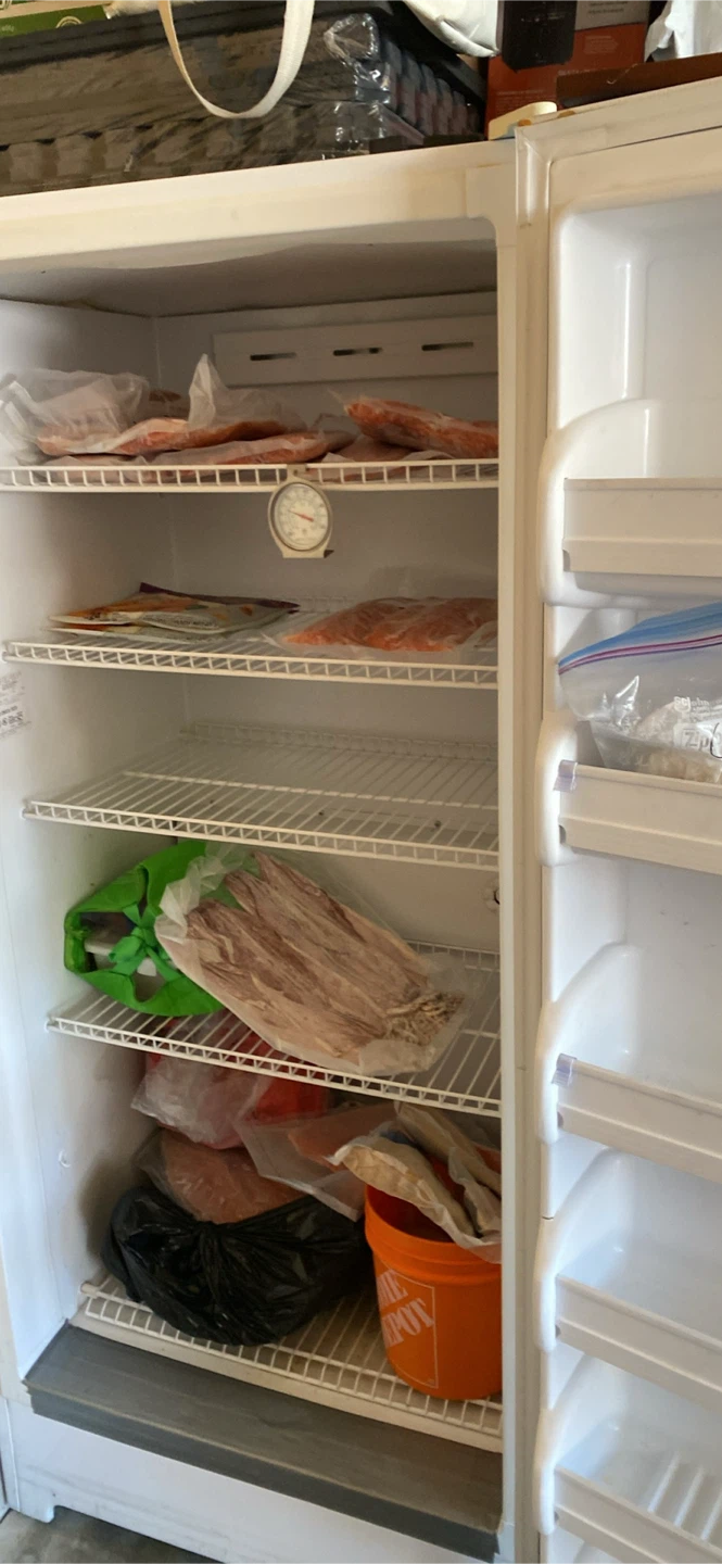 Frigidaire Frost Free Commercial Freezer - photo 2