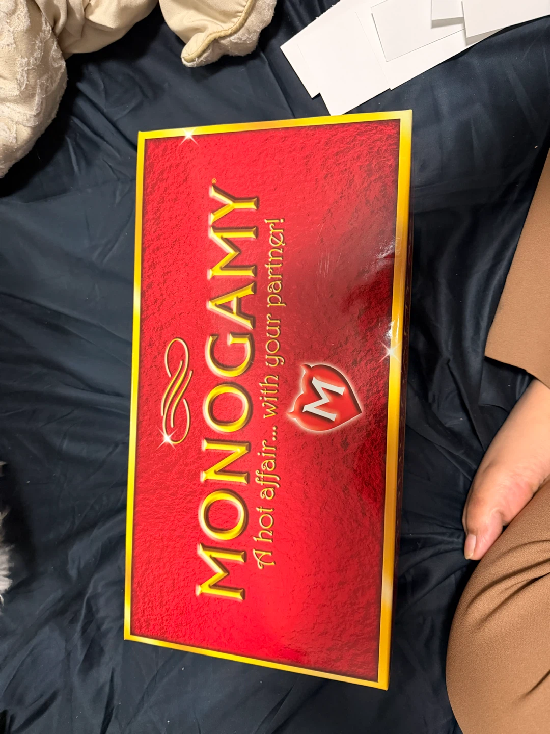 Monogamy: A Hot Affair... with your partner! Game
