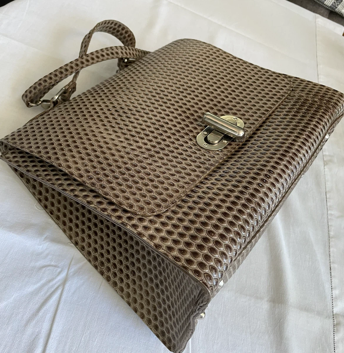Brown Embossed Handbag with Silver Clasp