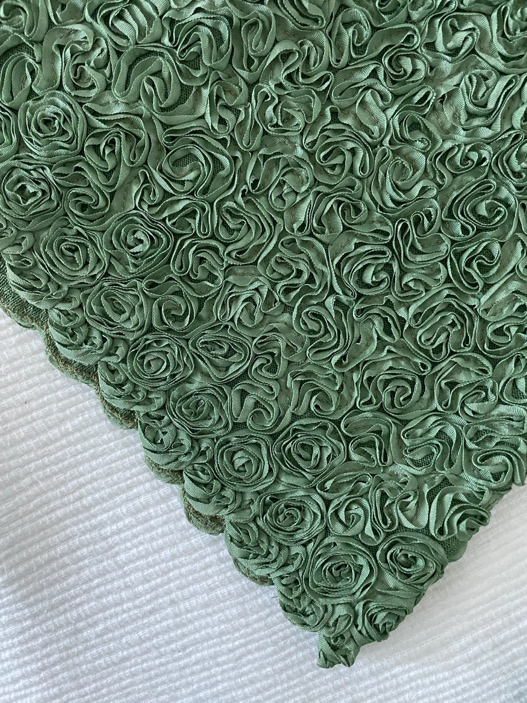 Caledonia Green Rose Applique Dress & Skirt Set - photo 5