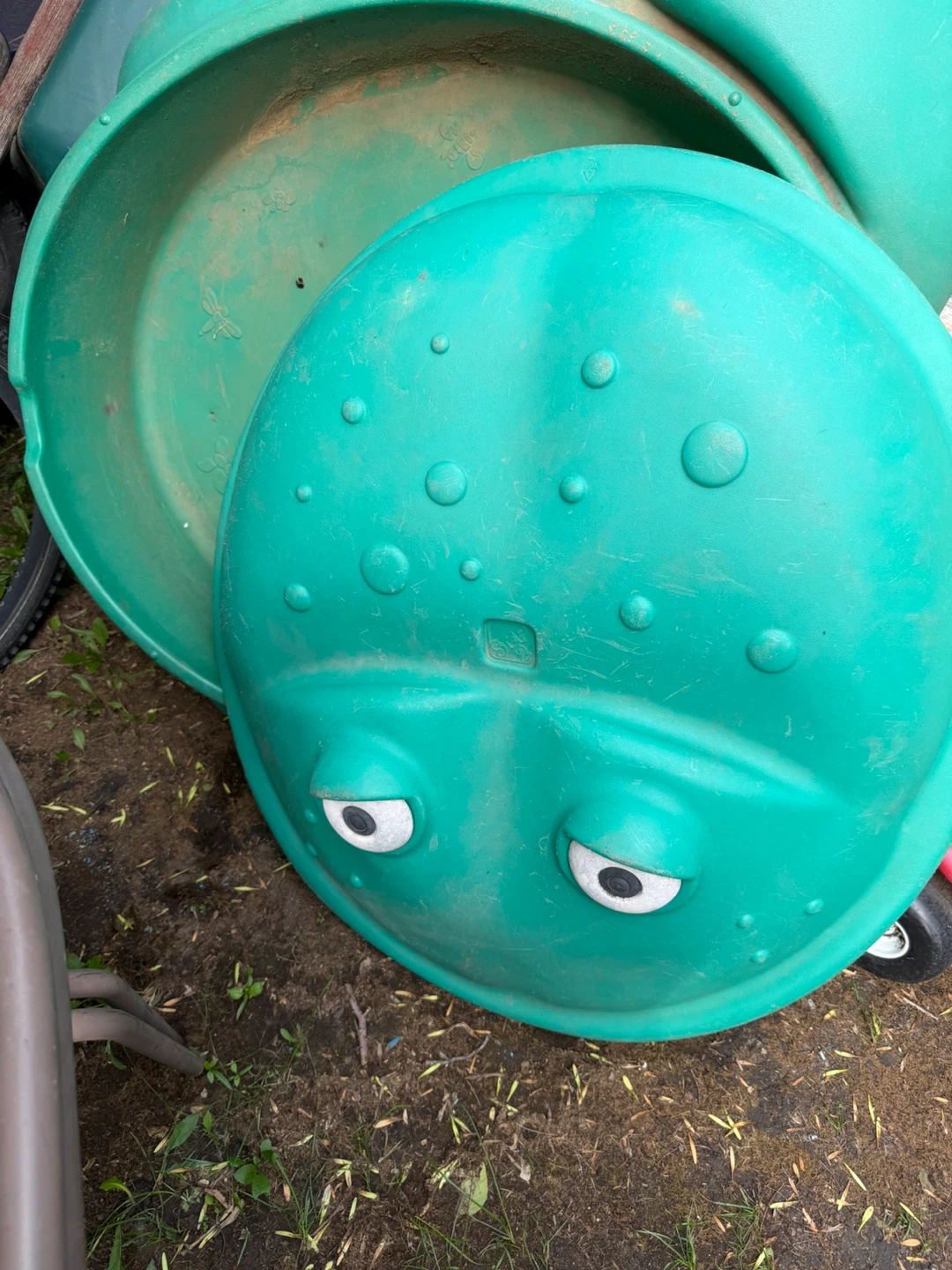 Green Frog Sandbox or Water Table