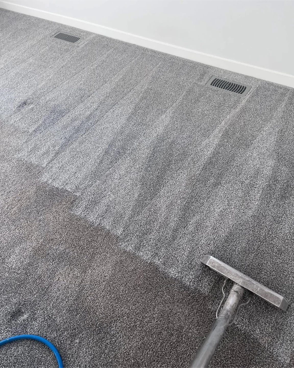 Carpet cleaning services