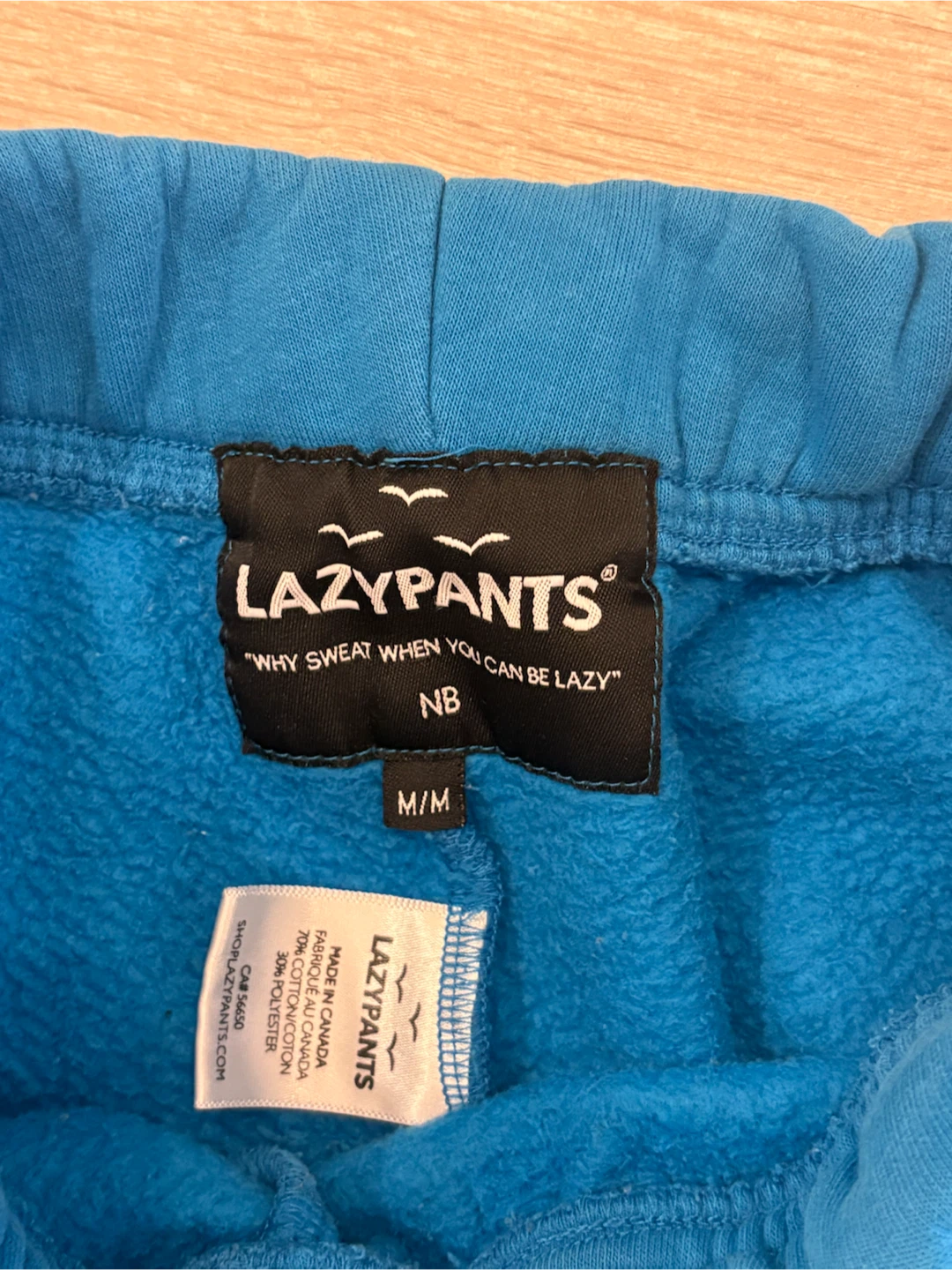 Blue Sweatpants- LazyPants - photo 3