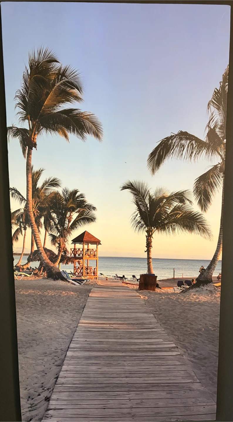 Tropical Beach Boardwalk Wall Art