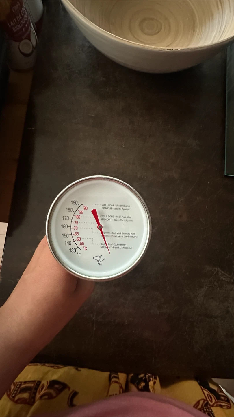 Meat Thermometer
