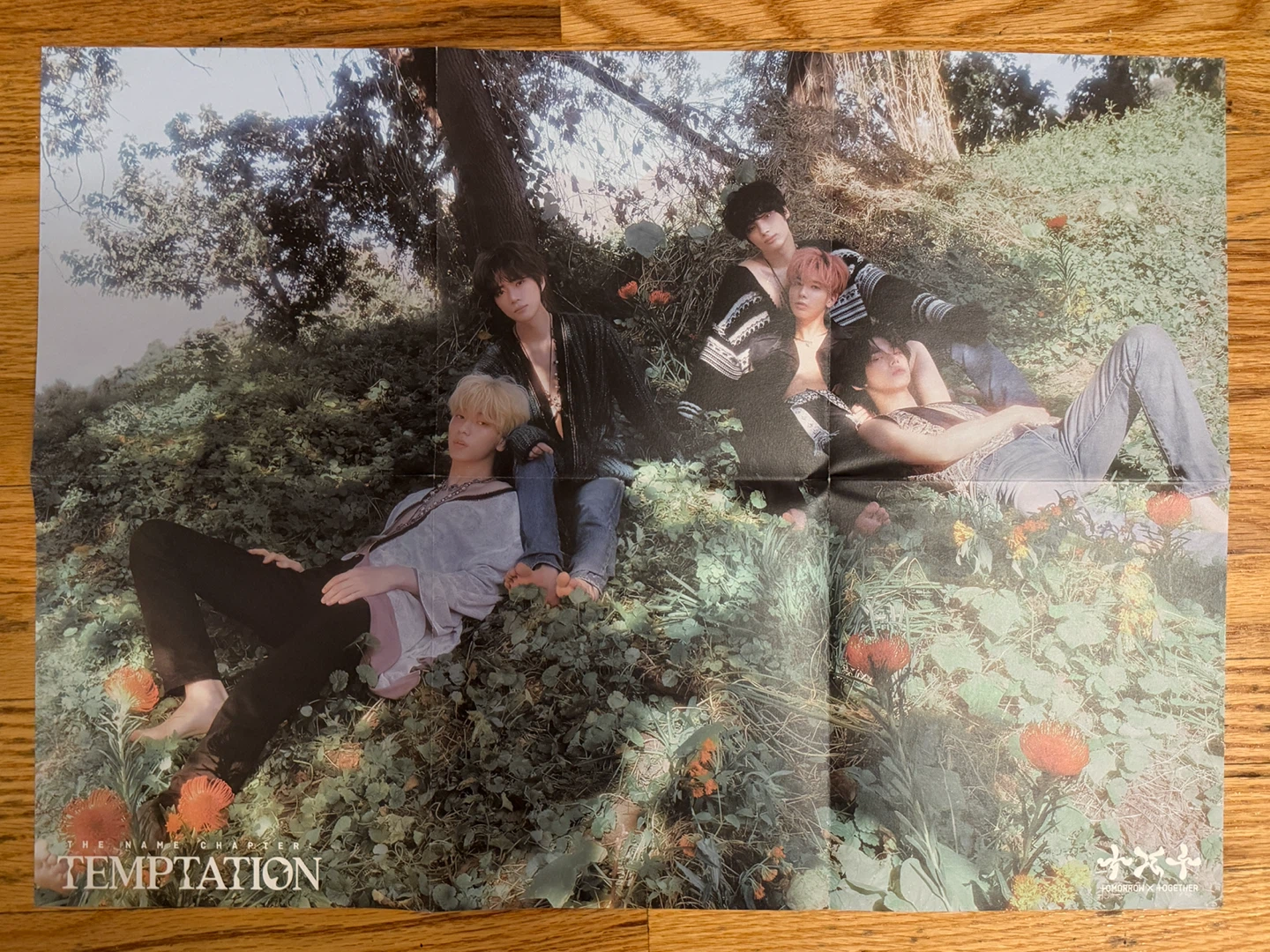 TXT The Name Chapter: Temptation Album - Daydream Ver. - photo 4