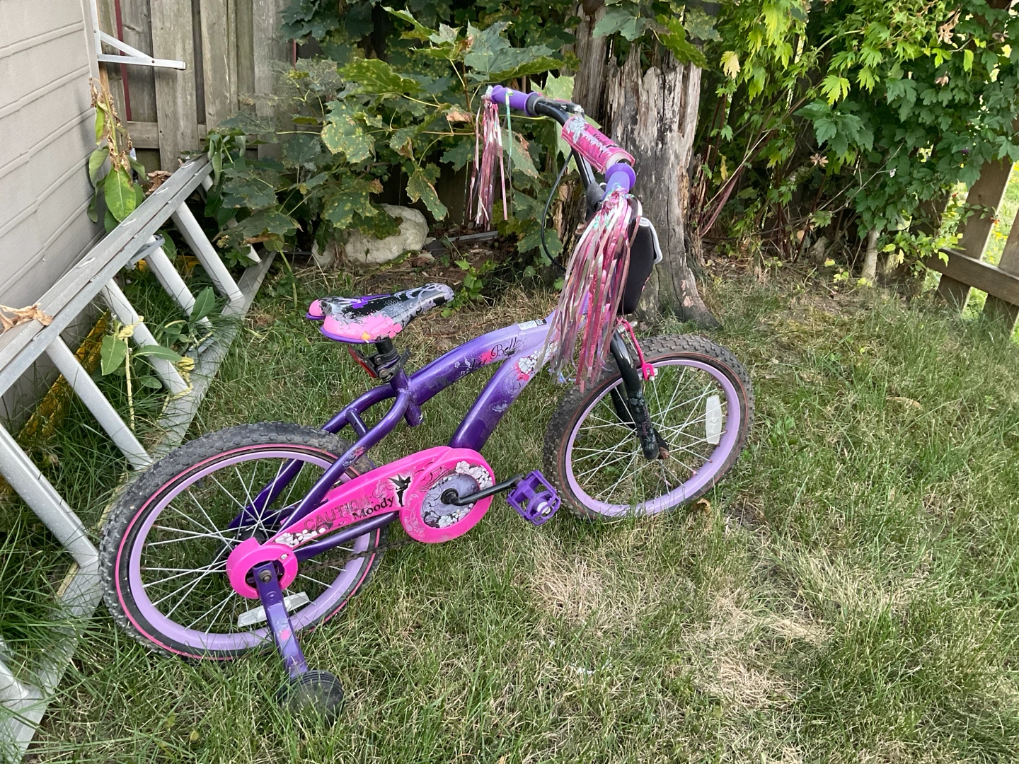 Moody Girl Kids Bicycle