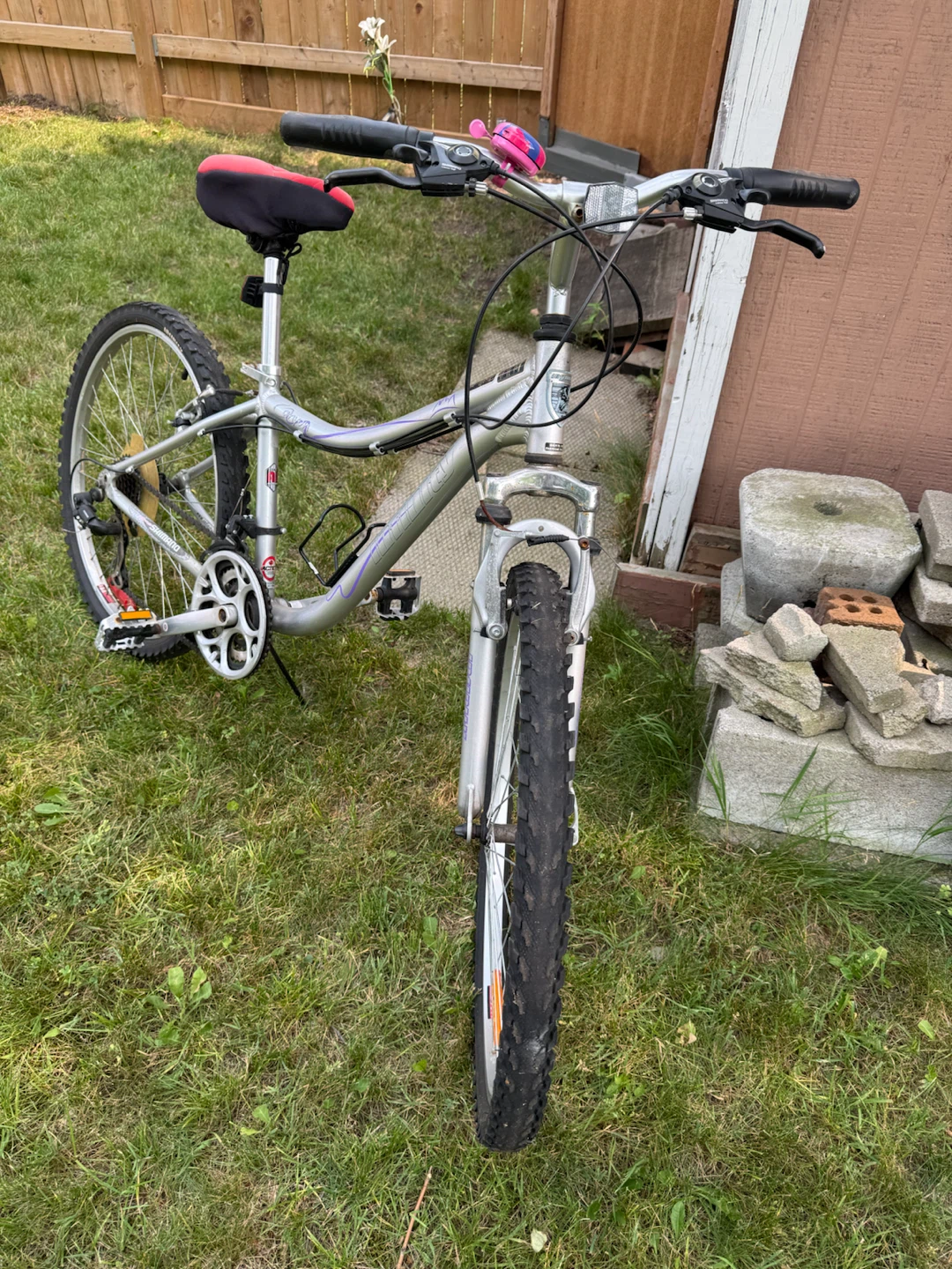 Silver Mountain Bike