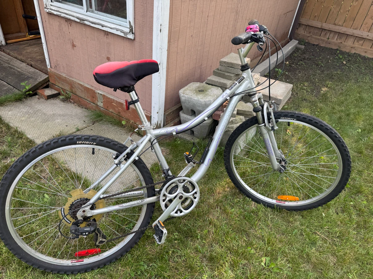 Silver Mountain Bike - photo 2