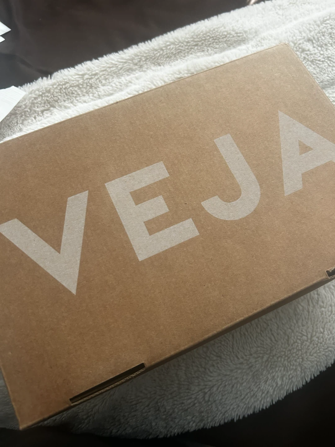 Veja Sneakers White with Black Logo - photo 4