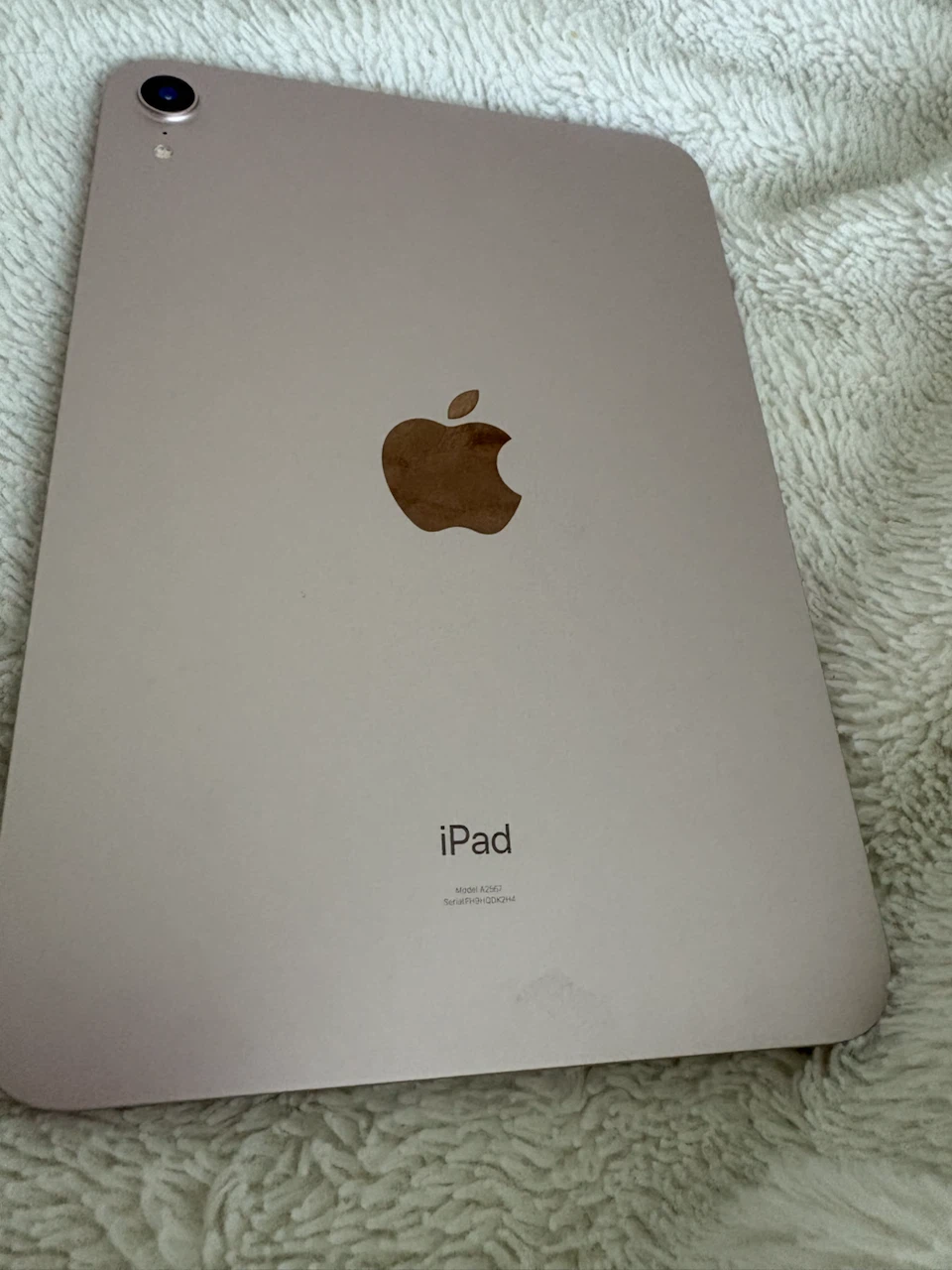 Apple iPad mini 6 WIFI 256 GB pink like new - photo 4