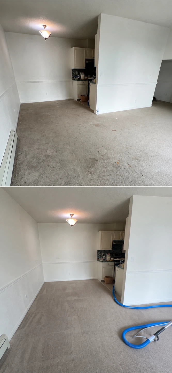 Carpet Cleaning