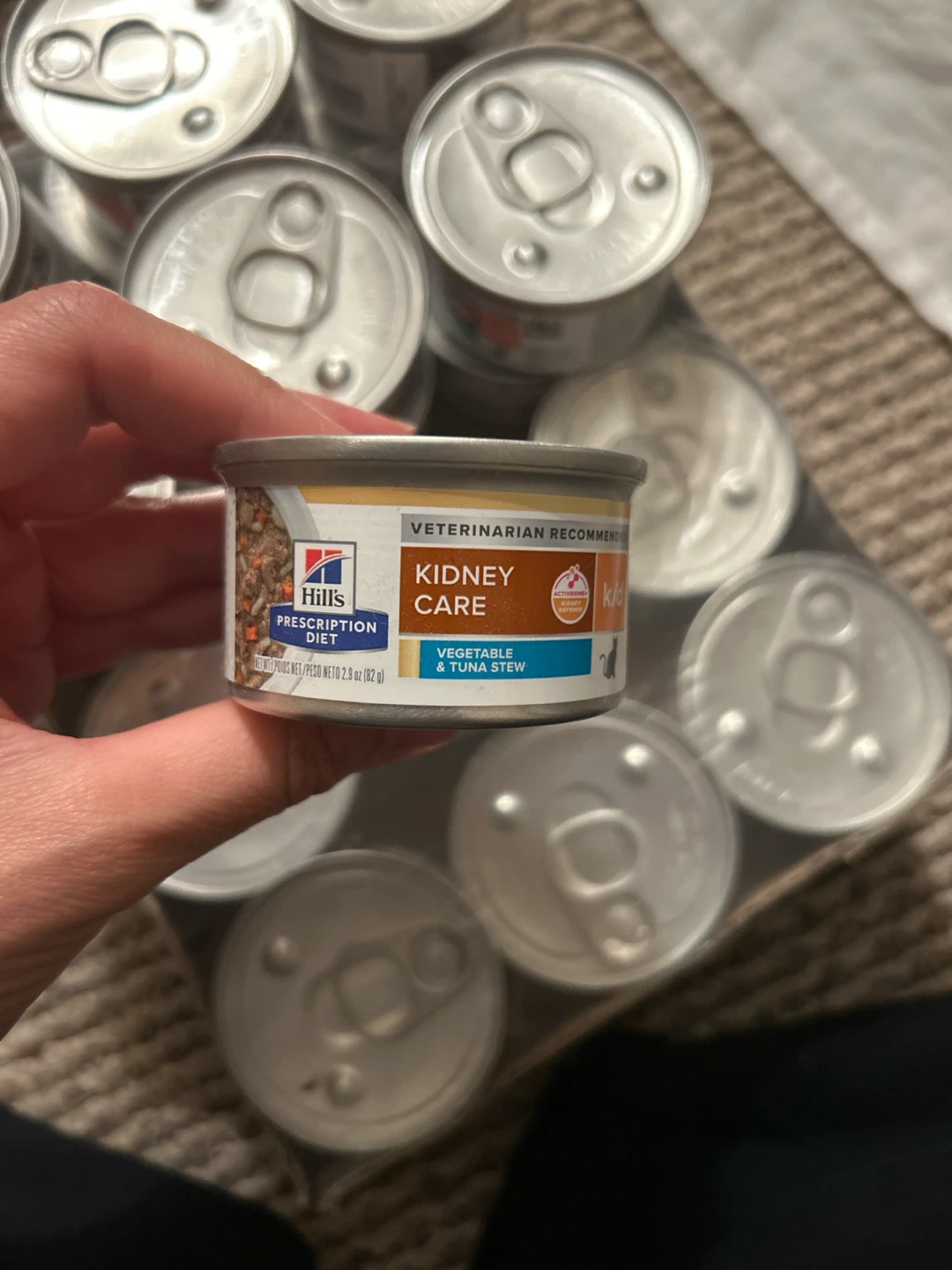 Hills prescription diet kidney care cat food