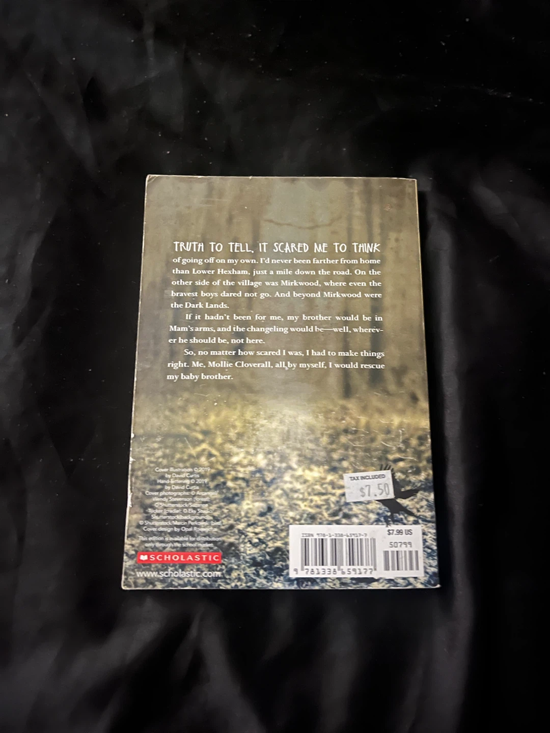 Guest: A Changeling Tale by Mary Downing Hahn - photo 2