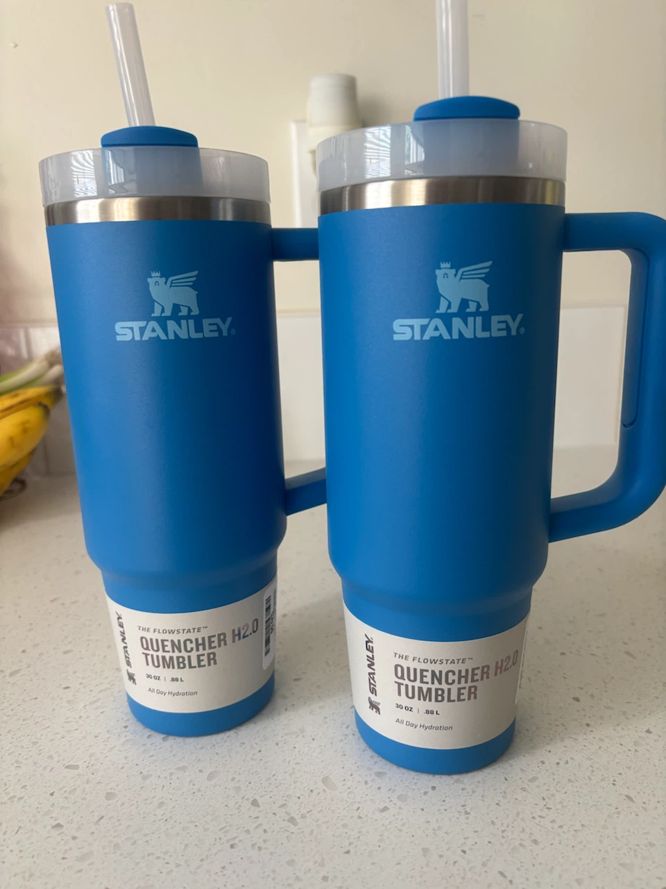 Stanley Flowstate Quencher H2.0 Tumblers (Set of 2)