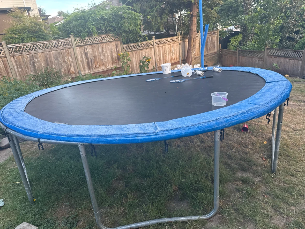 Oval Trampoline with Blue Padding