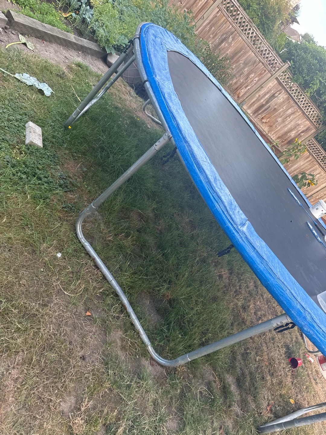 Oval Trampoline with Blue Padding - photo 2