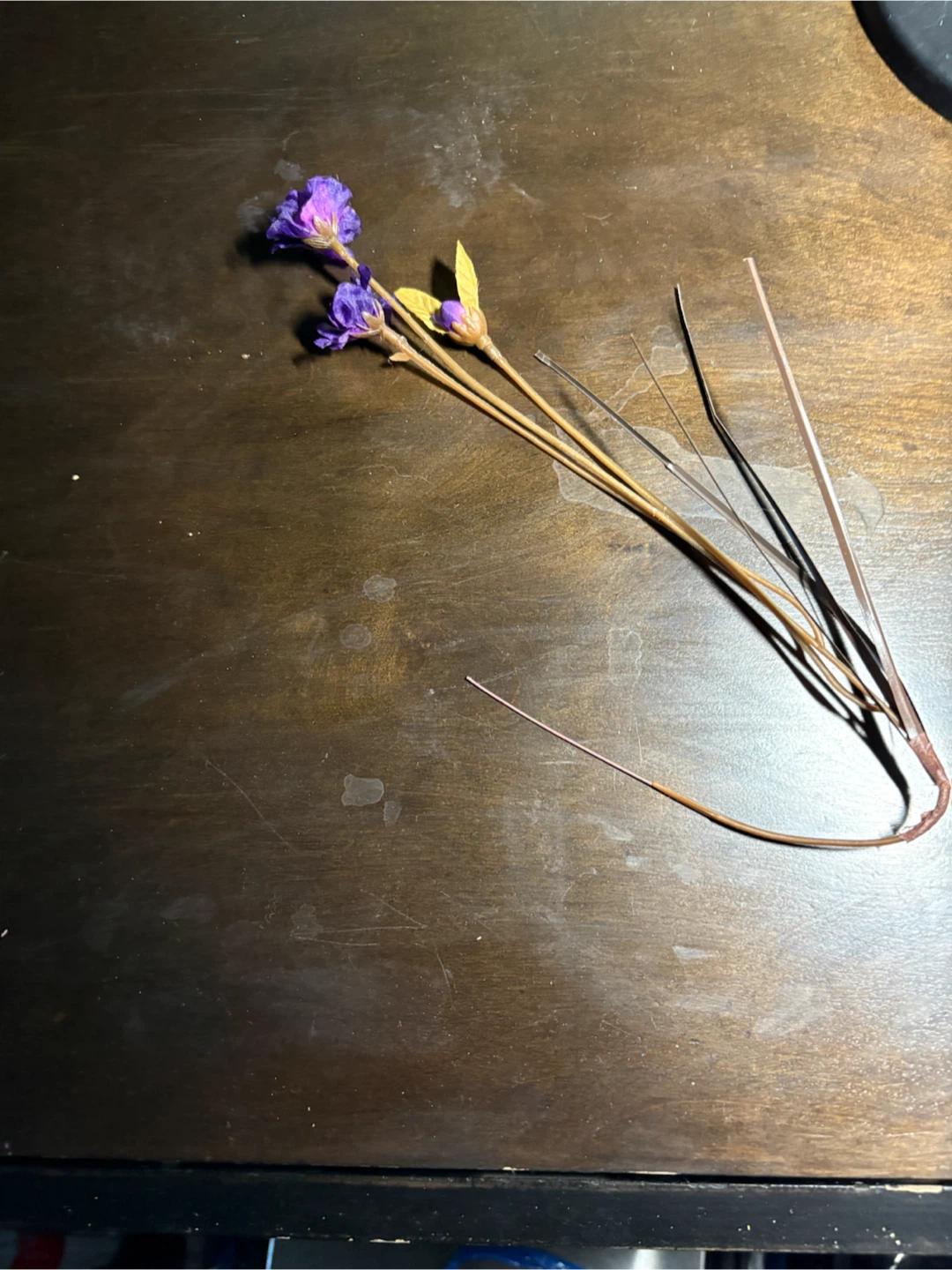 Dried Purple Flowers