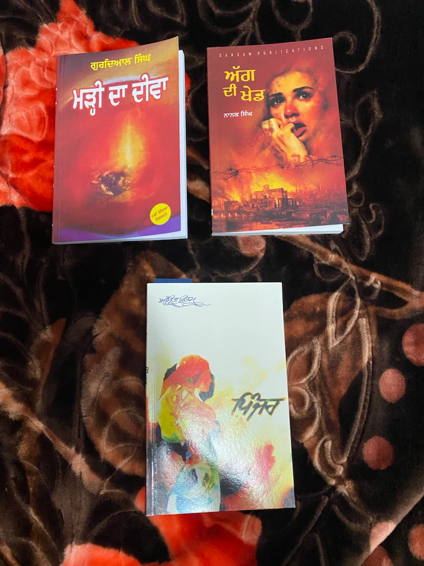 📚 Premium Punjabi Book Collection – 3 Classic Punjabi Novels