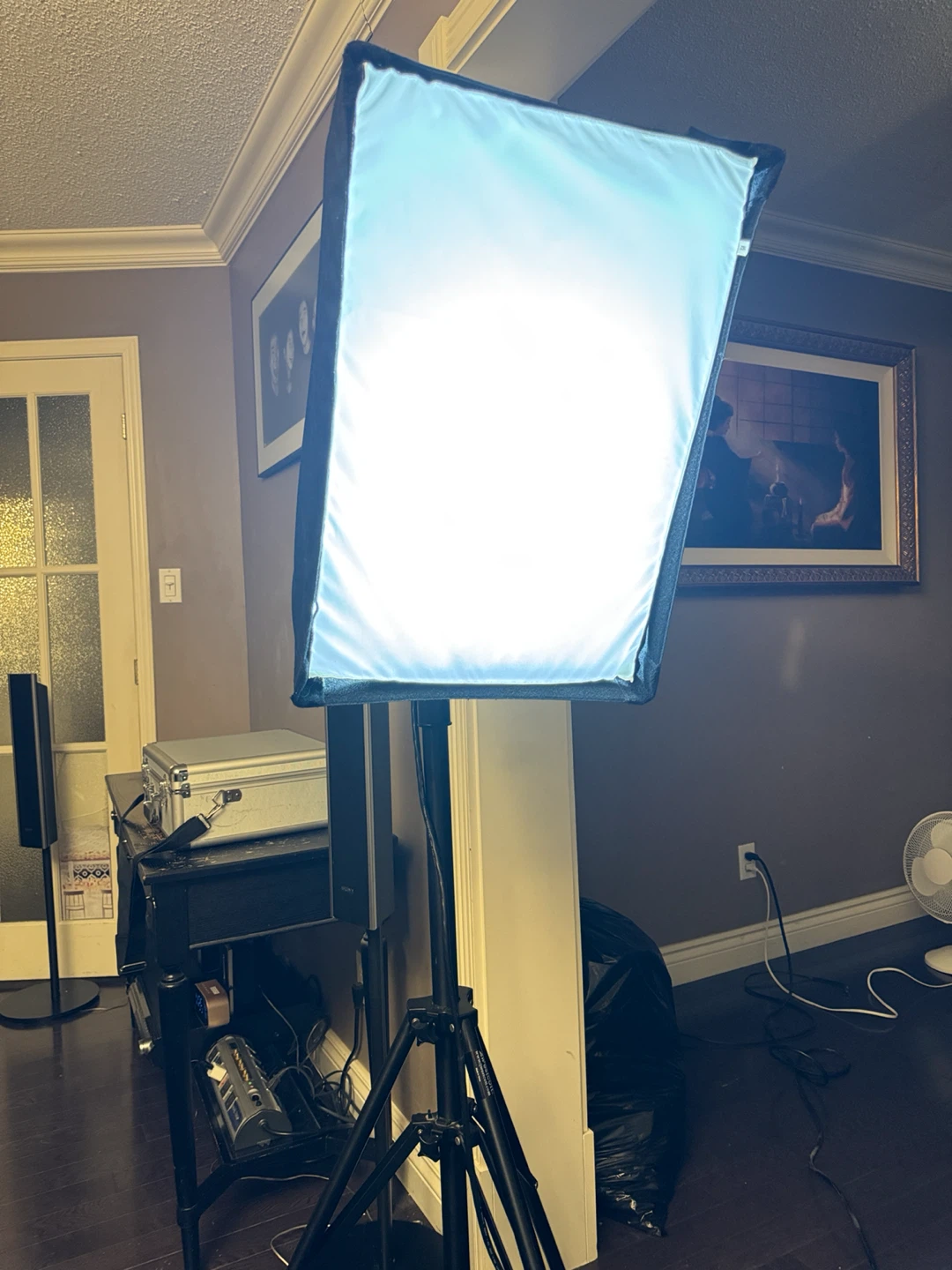 2 set Westcott Spiderlite TD5 Light with Softbox