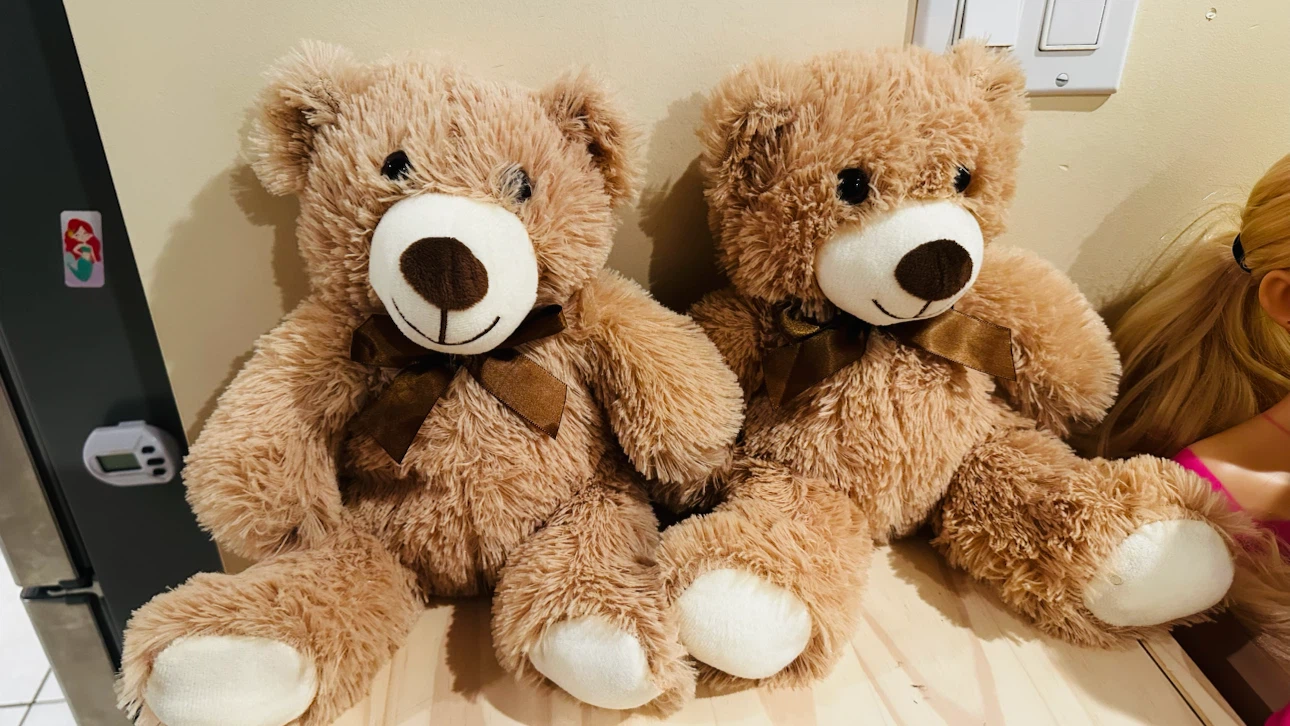 Two brown teddy bears with bows