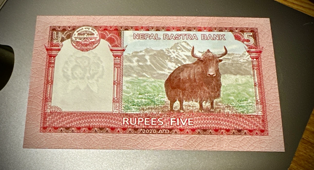 Beauty uncirculated - Nepal 5 Rupees Banknote