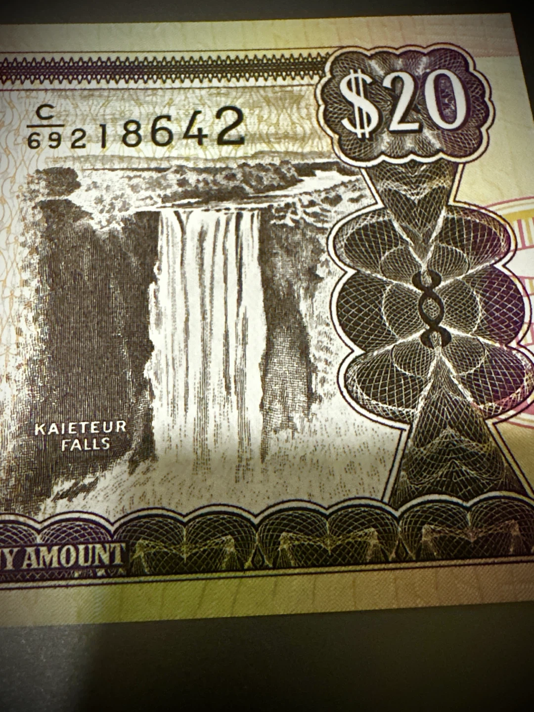 Crisp Uncirrculated Bank of Guyana Twenty Dollars Bill - photo 4