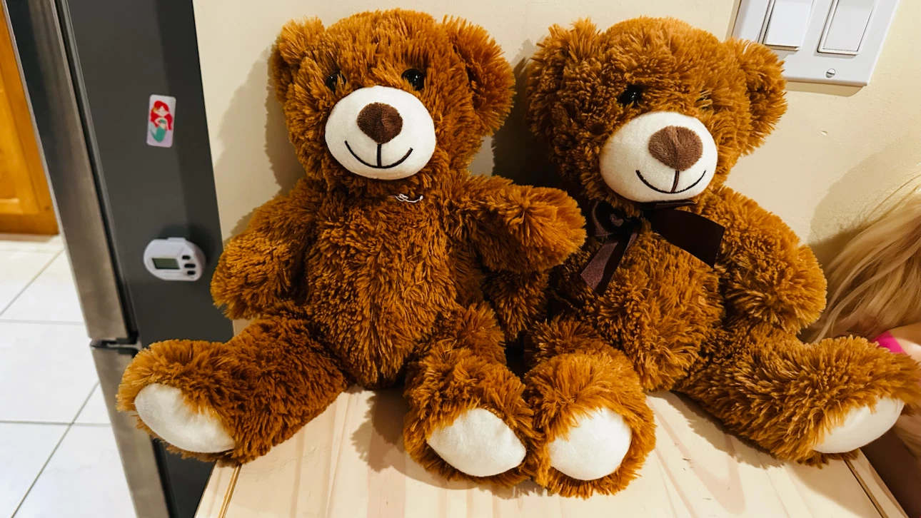 Two brown teddy bears
