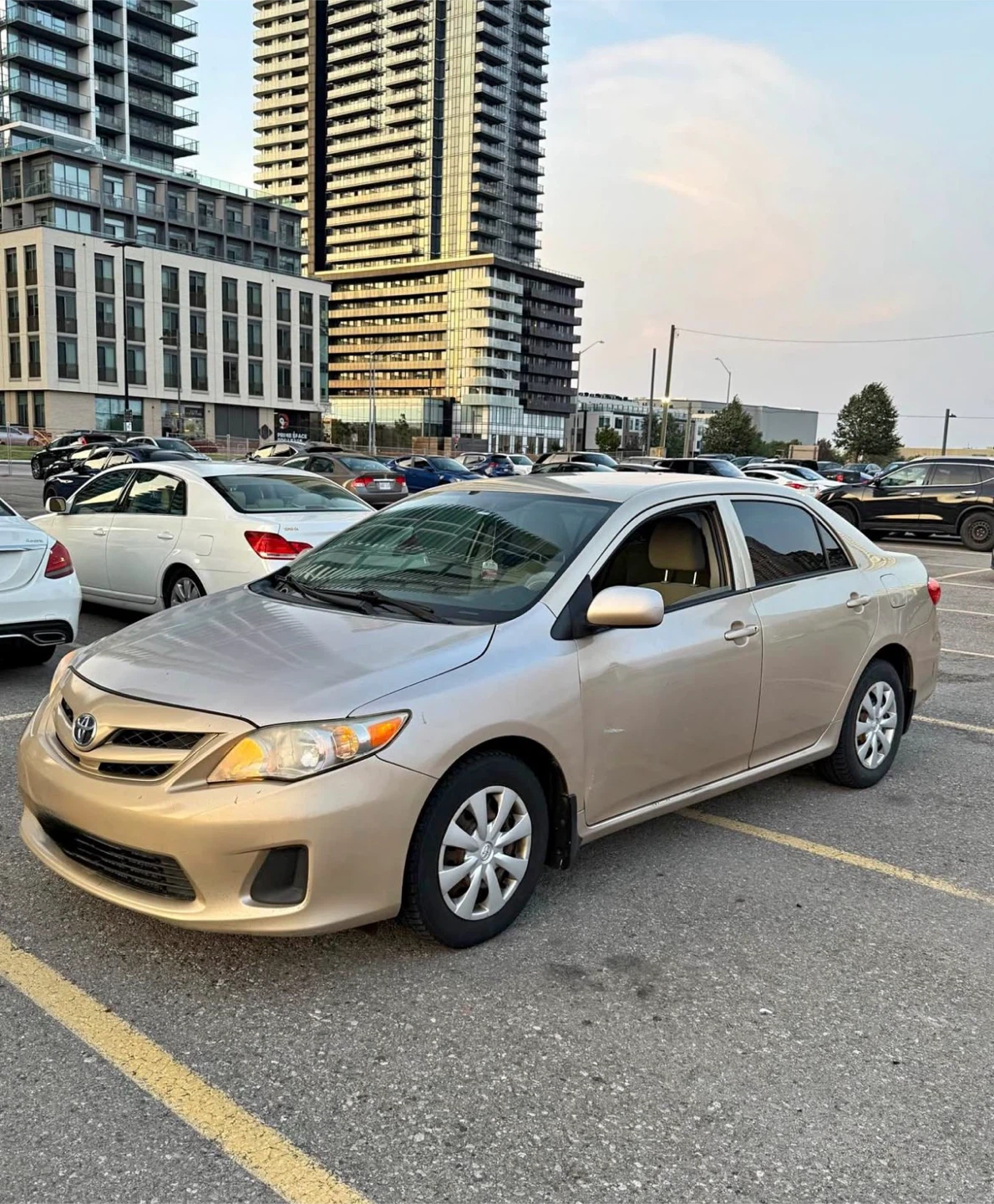 Toyota Corolla LE Sedan