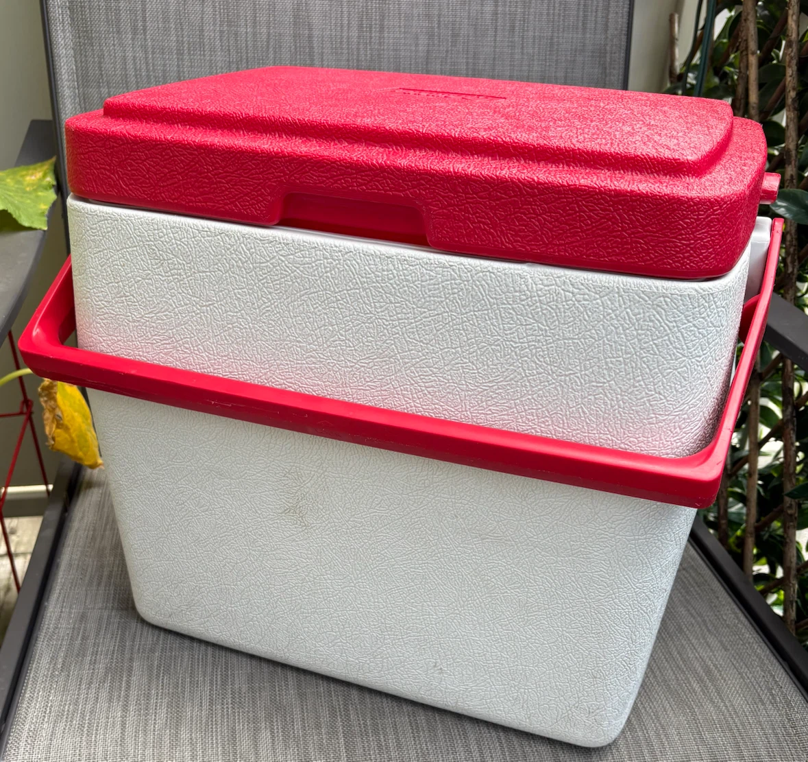 Coleman Personal 24 Cooler - photo 2