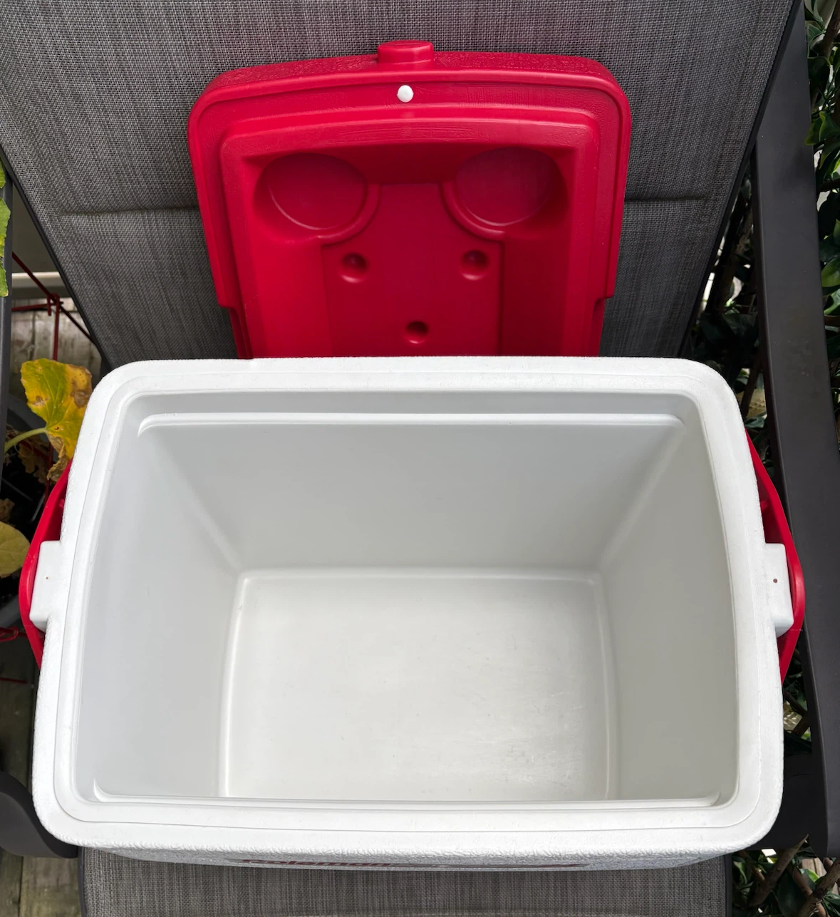 Coleman Personal 24 Cooler - photo 4
