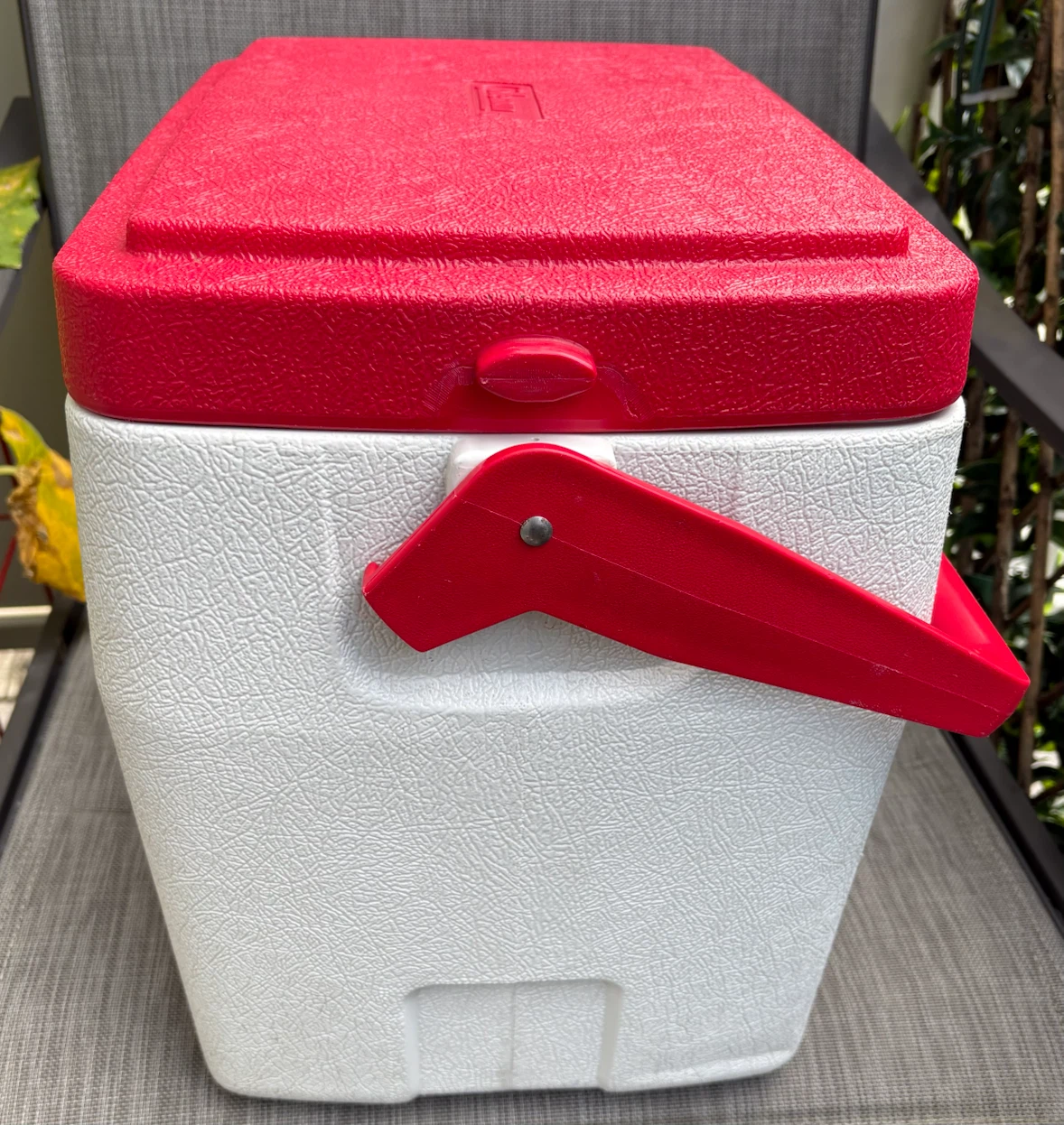 Coleman Personal 24 Cooler - photo 5