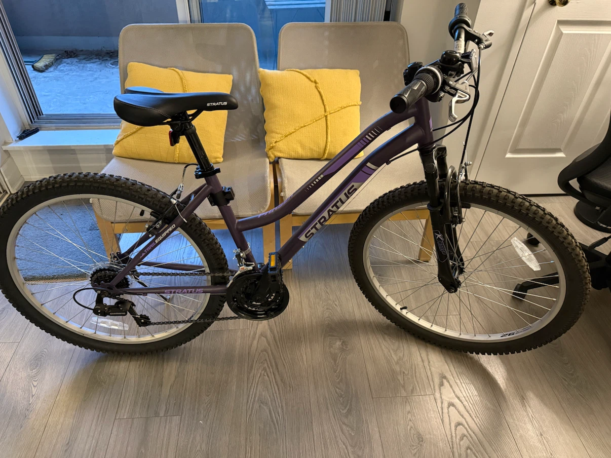 Stratus Phaser Hardtail Mountain Bike - Purple - photo 2