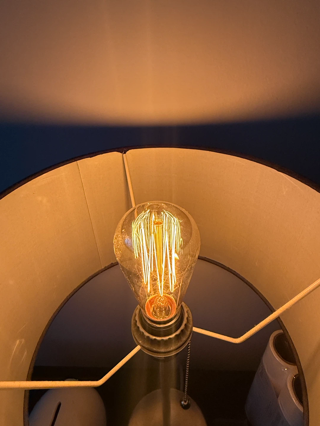 40W Edison Vintage Light Bulb - BNIB - photo 4
