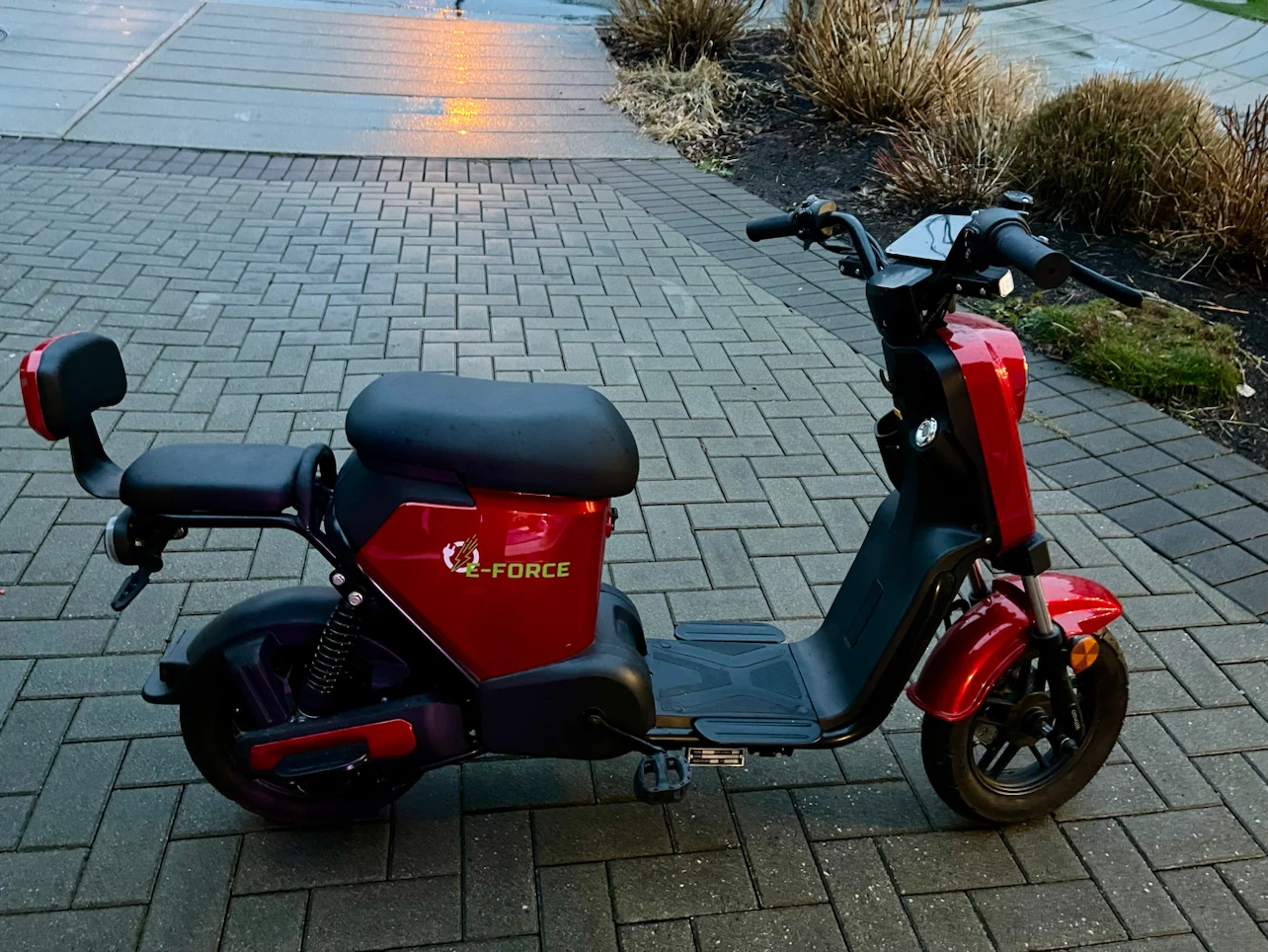 Ebike - photo 2