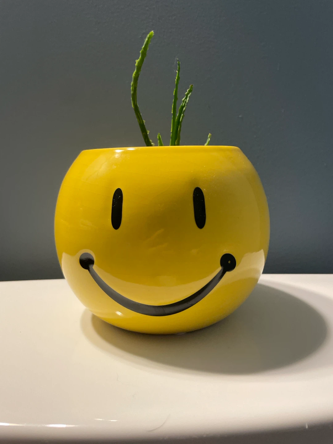 Yellow Smiley Face Planter Pot