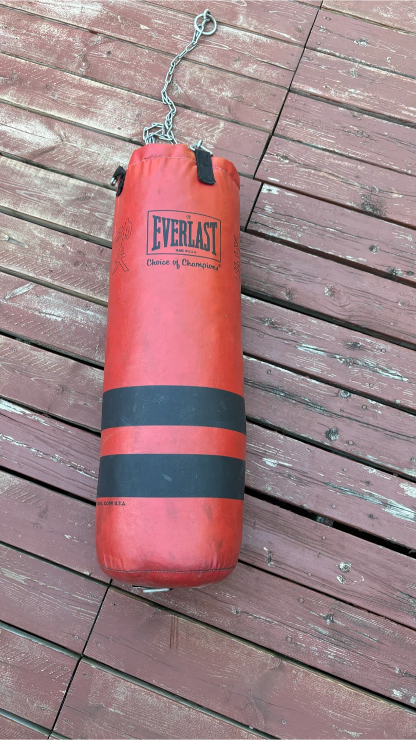 everlast punching bag