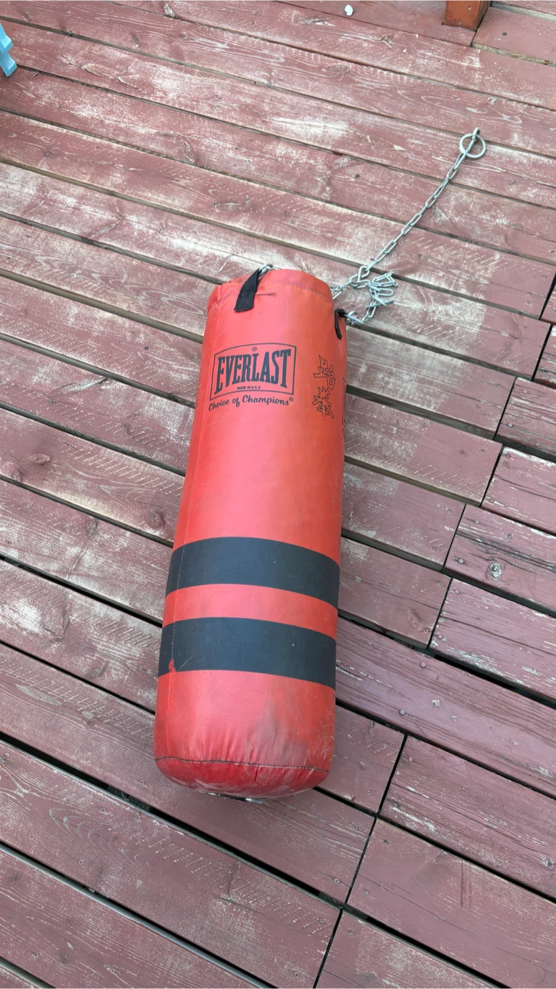 everlast punching bag - photo 2