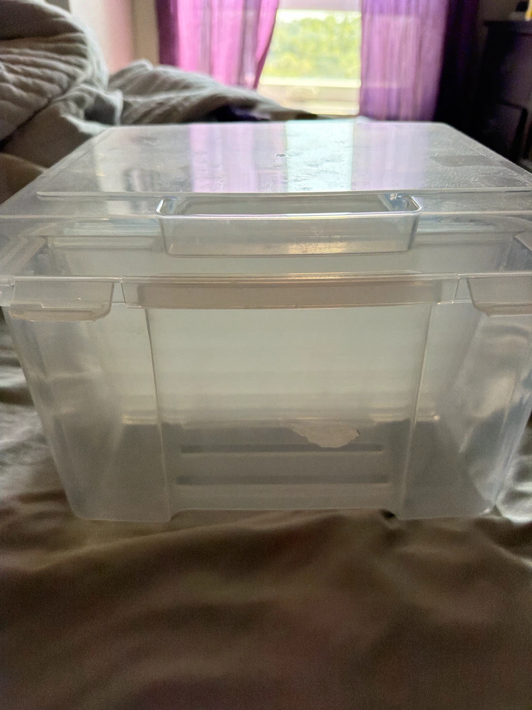 Clear Plastic Storage Bin with Lid