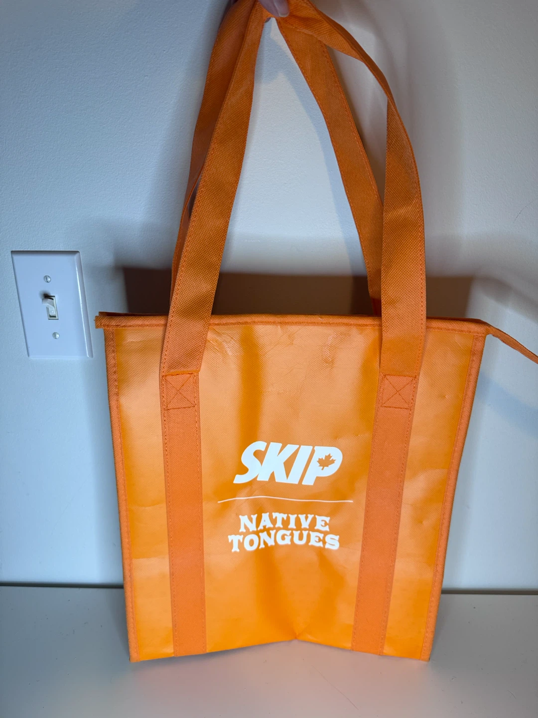 SkipTheDishes Insulated Lunch Bag