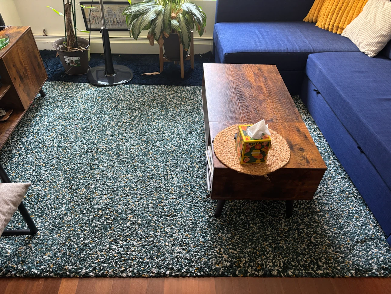 Teal & White Shag Area Rug