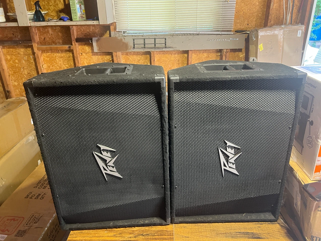 Peavey PV 15M Monitor Speakers