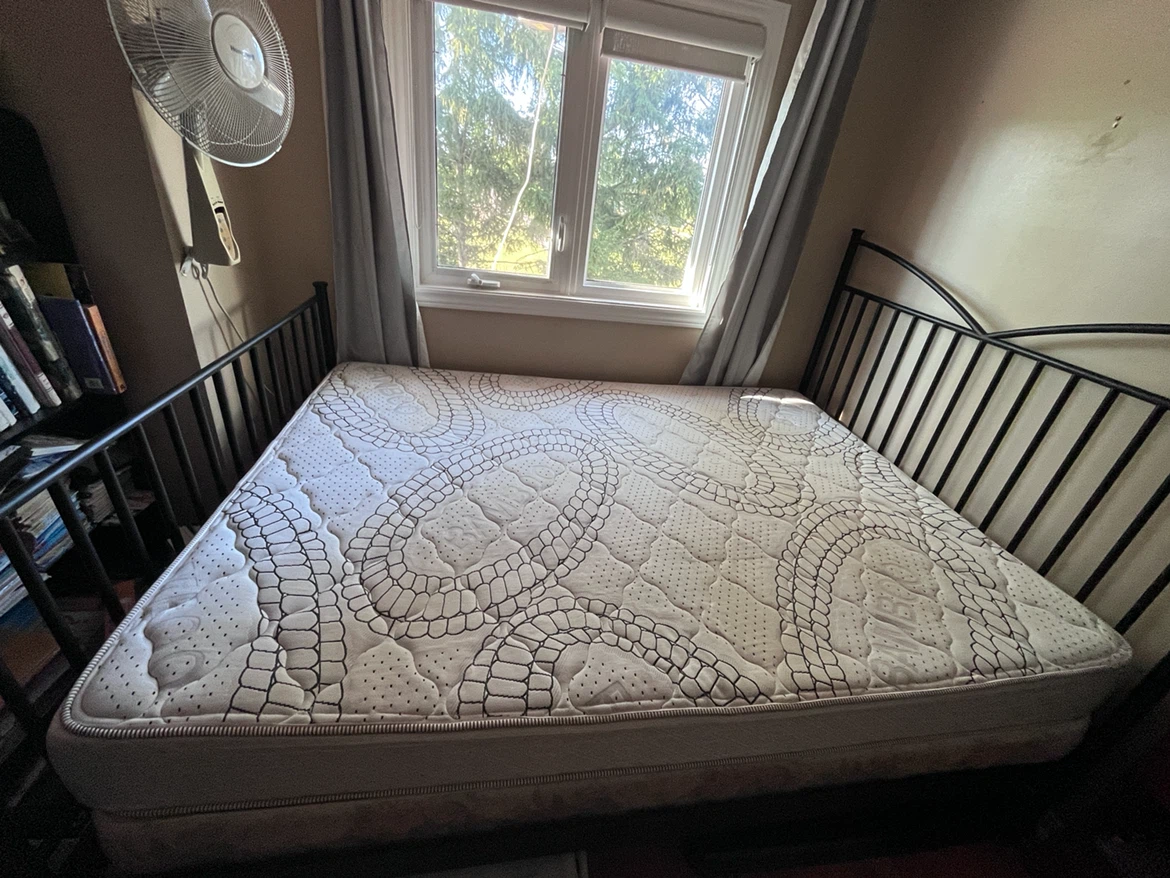 Queen size  firm mattress and box springs