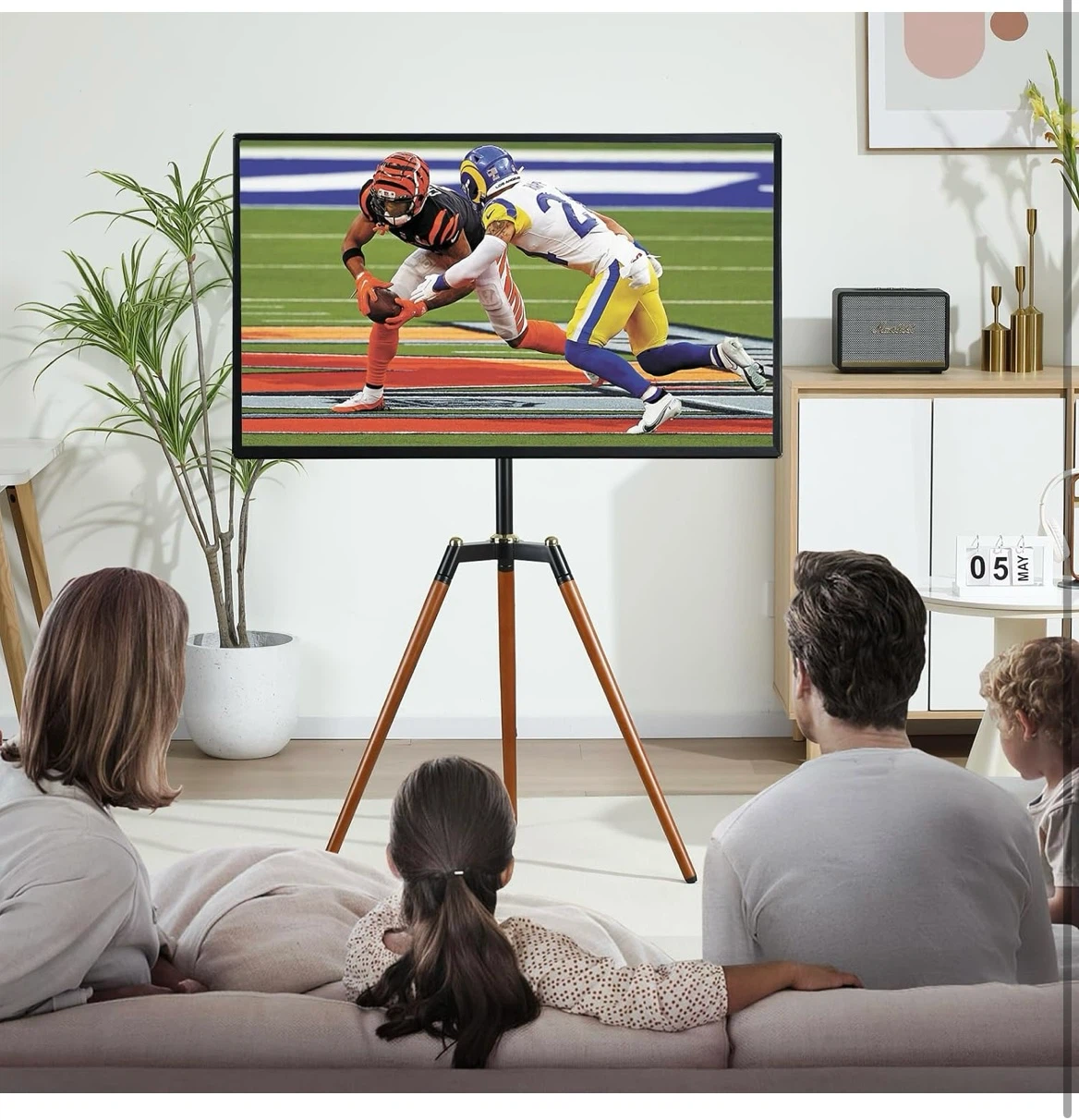 FYDEAMER Tripod Easel TV Stand
