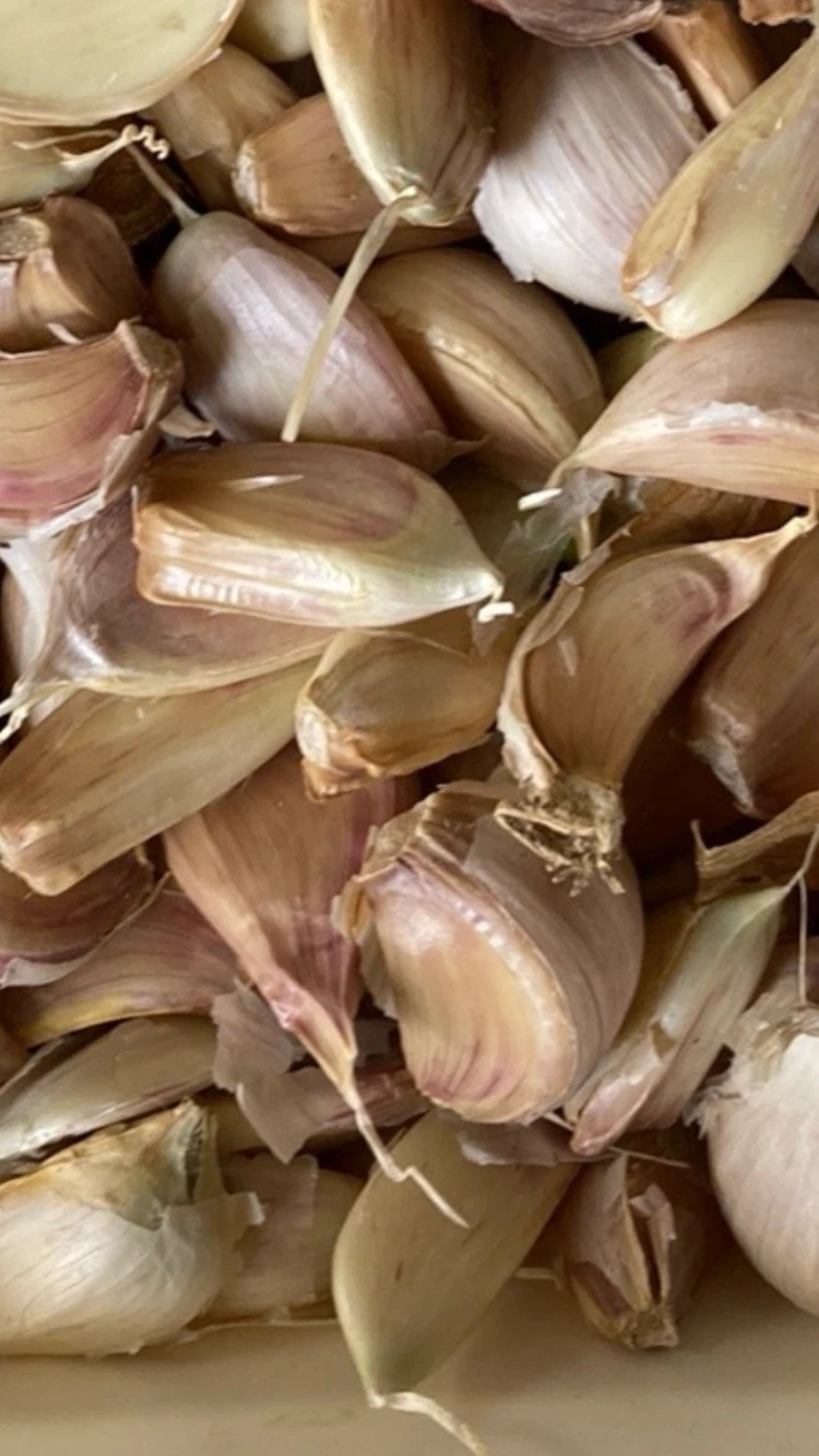 Fresh organic garlic 🧄 heads &Garlic Powder - 100% Pure Organic - photo 3