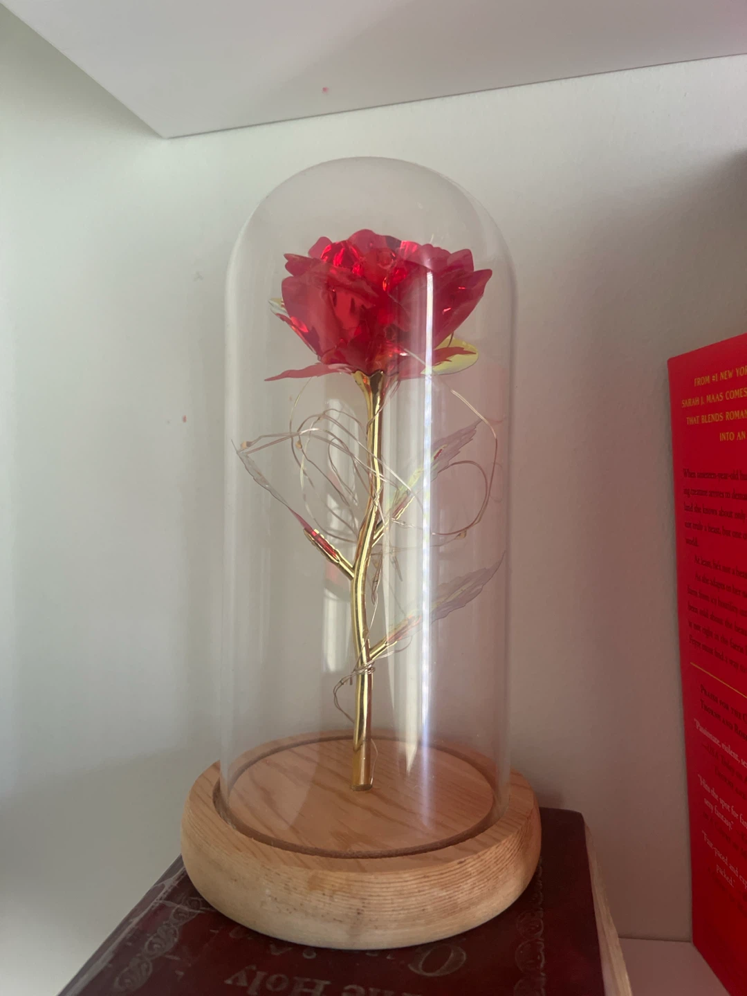 Red Rose Dome with LED Lights