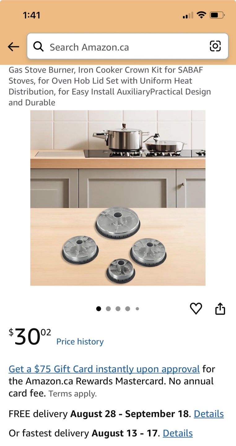 Gas Stove Burner Crown Kit for SABAF Stoves