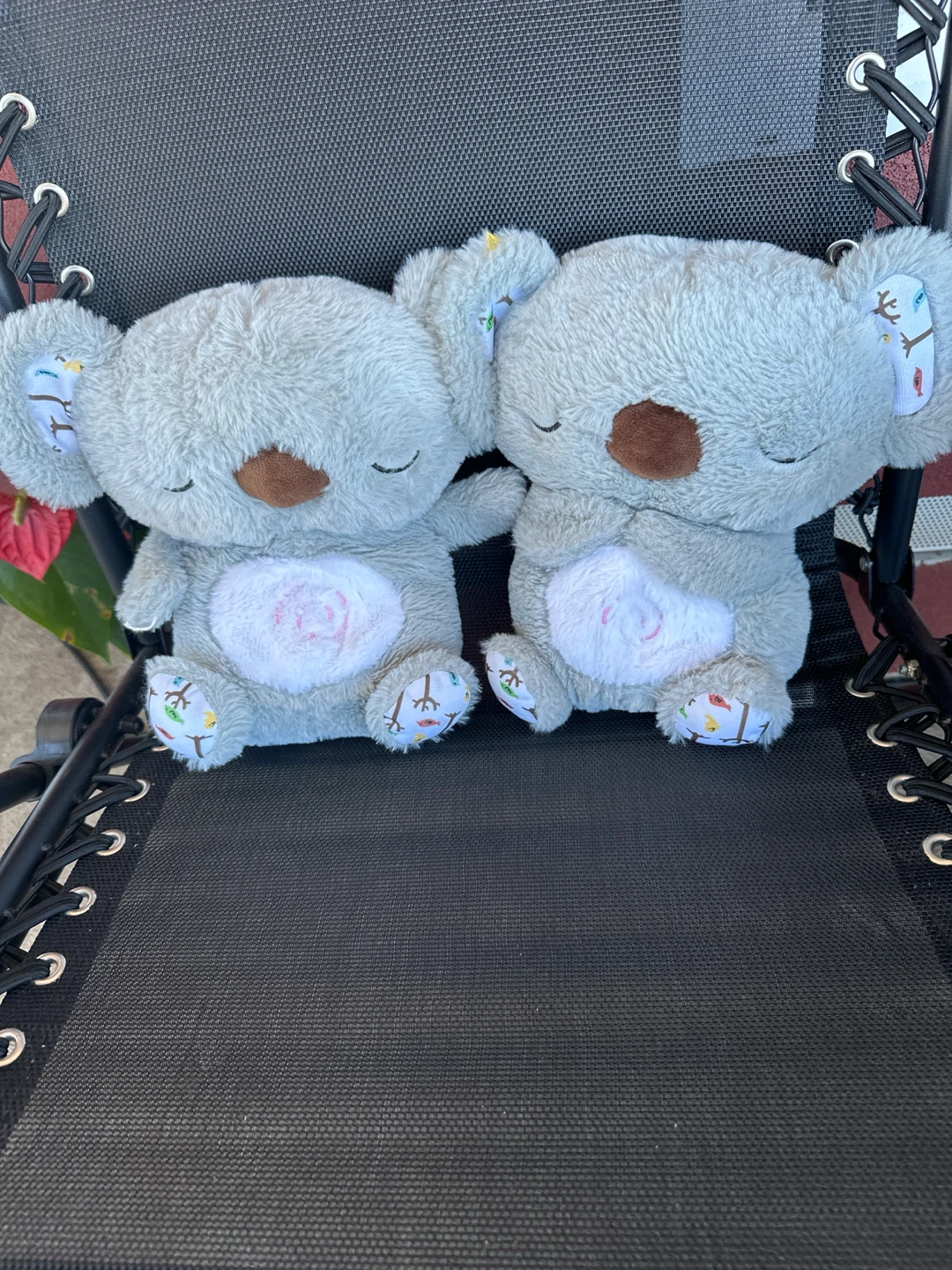 Pair of Plush Koala Toys