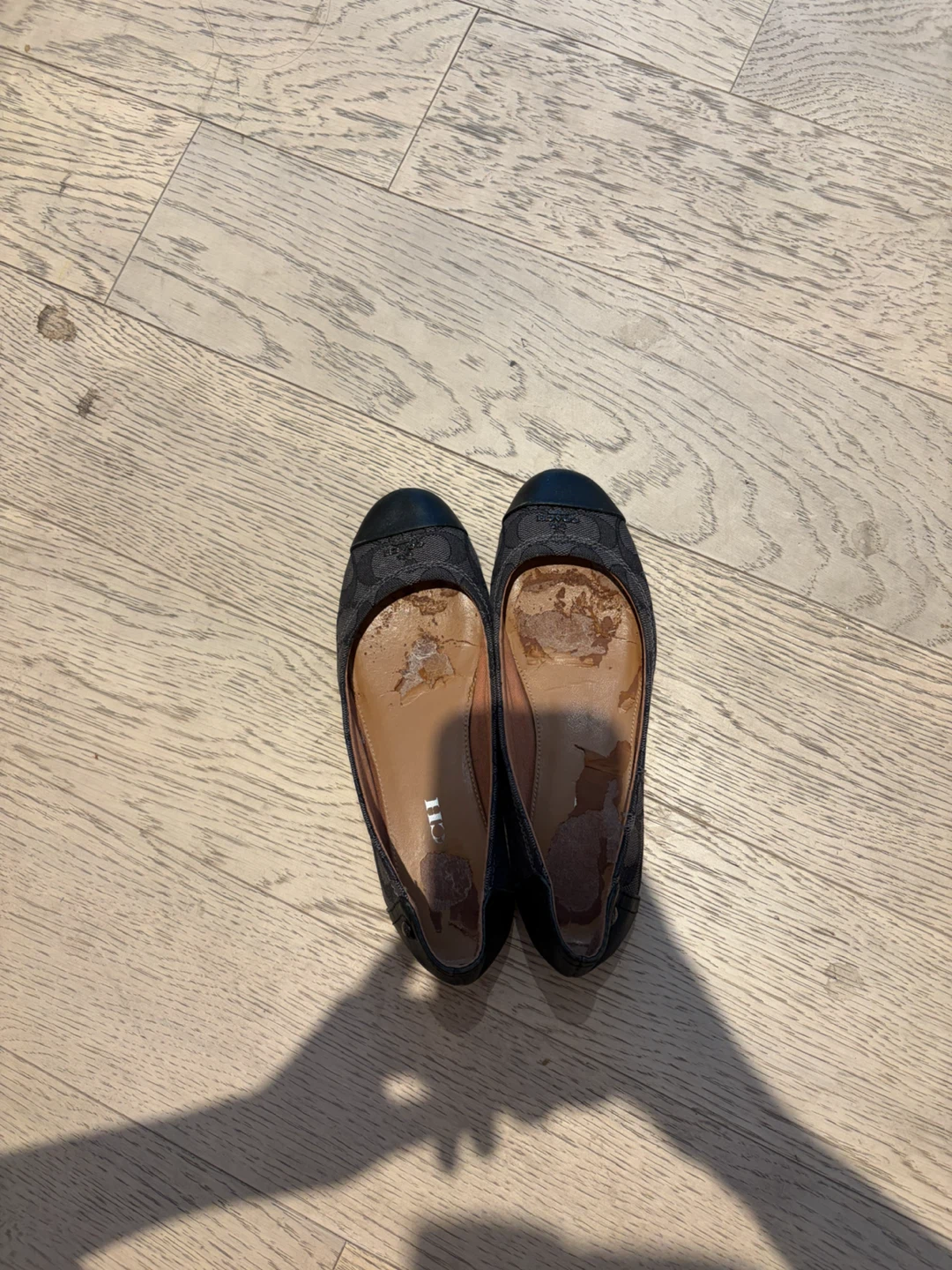Coach Ballet Flats size 6