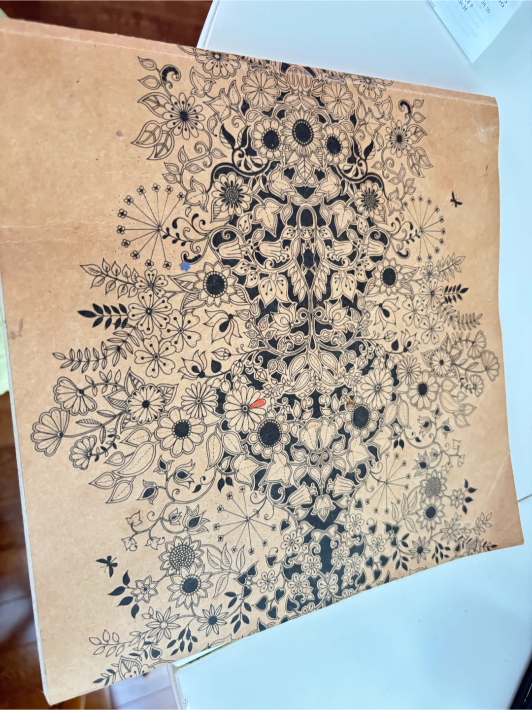 Colouring Book - Nature & Floral Designs